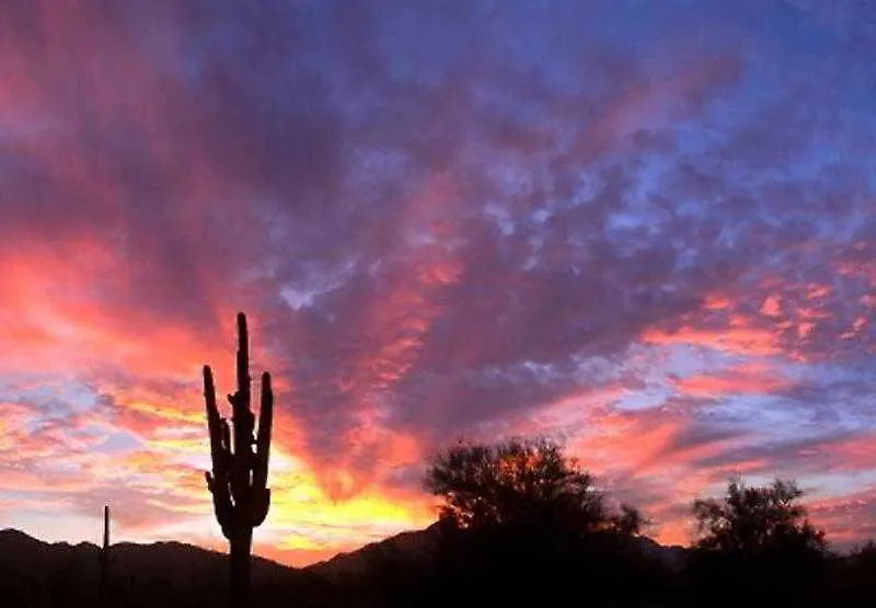 *** Hotel Courtyard By Marriott Scottsdale Salt River United States